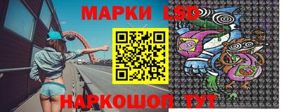 гидропоника Кингисепп