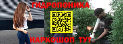 гидропоника Кингисепп