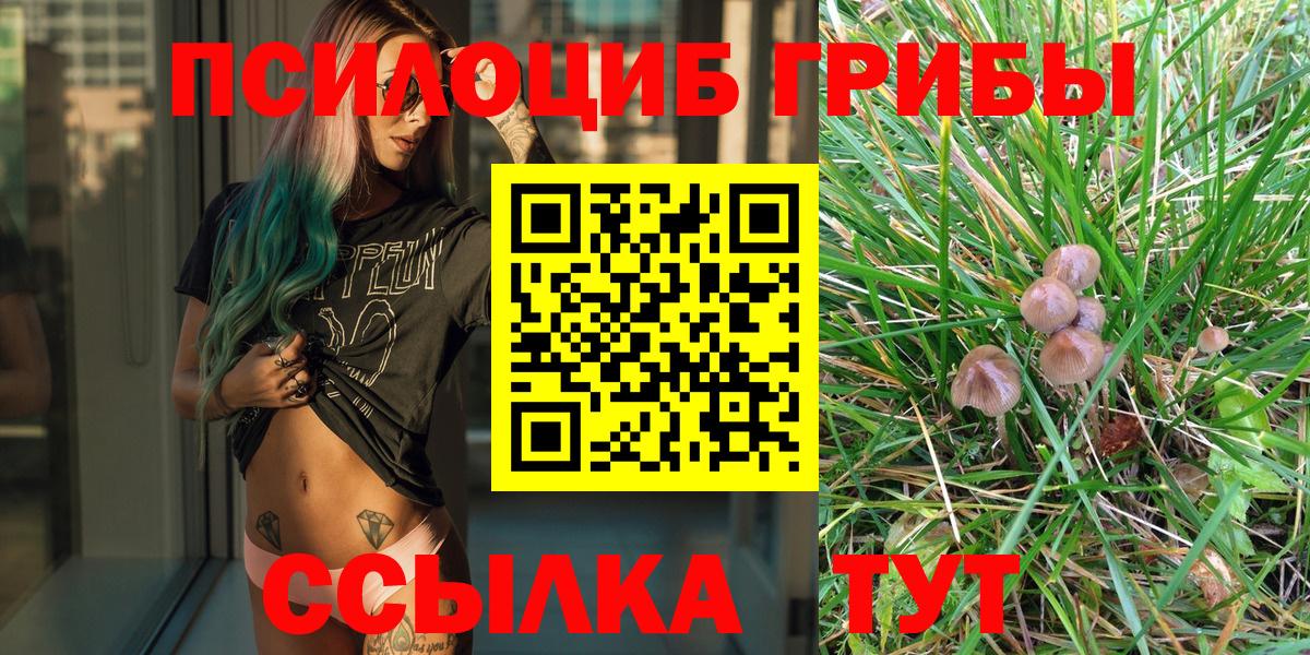 Химки  Псилоцибиновые грибы Cubensis  Вход с VPN  Галлюциногенные грибы Cubensis 